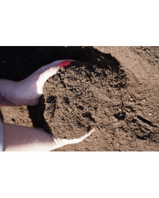 Springbridge BS3882 Topsoil Small