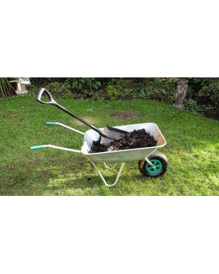 Well Rotted Horse Manure Standard