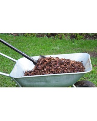 5 Standard Pine Play Grade Bark Bulk Bag Bundle