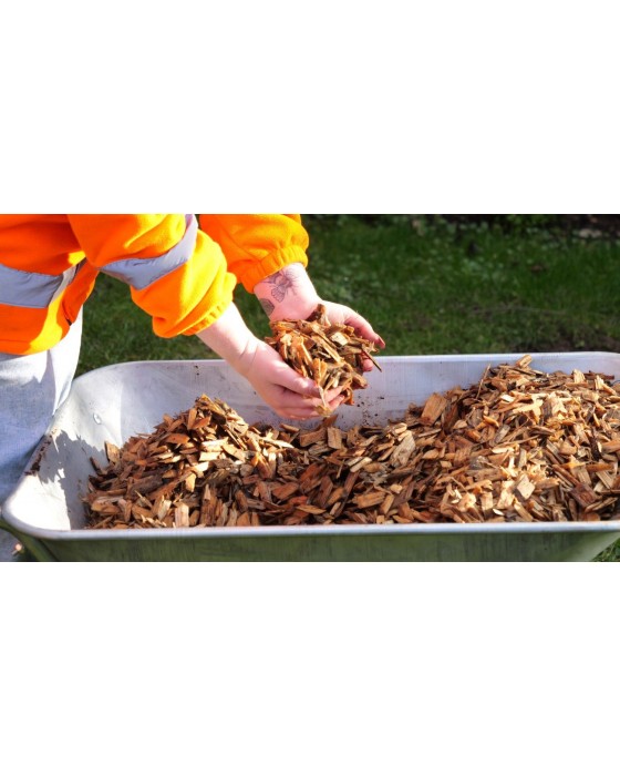 Softwood Play Grade Chips Standard