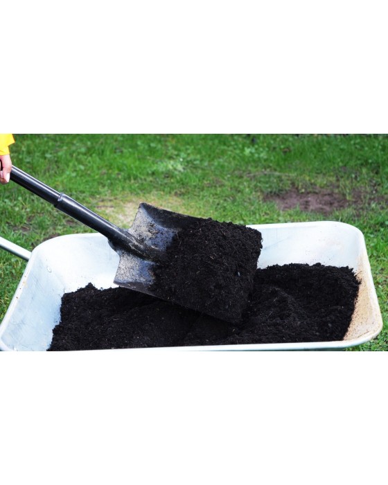 Tree and Shrub Compost Standard