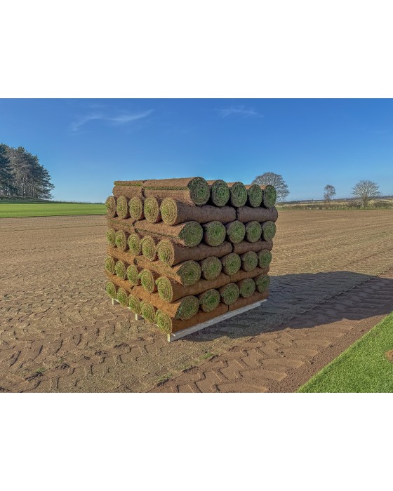 Premium Cultivated Turf (per m2 roll)