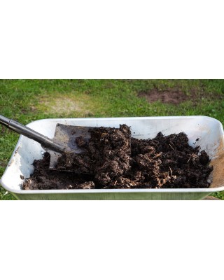 Well Rotted Horse Manure Standard