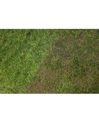 10 Standard Fine Loam Topsoil Bag Bundle