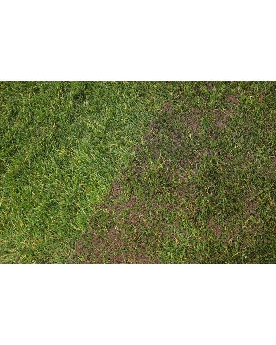 10 Standard Fine Loam Topsoil Bag Bundle