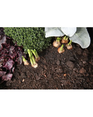 5 Standard Spent Mushroom Compost Bulk Bag Bundle