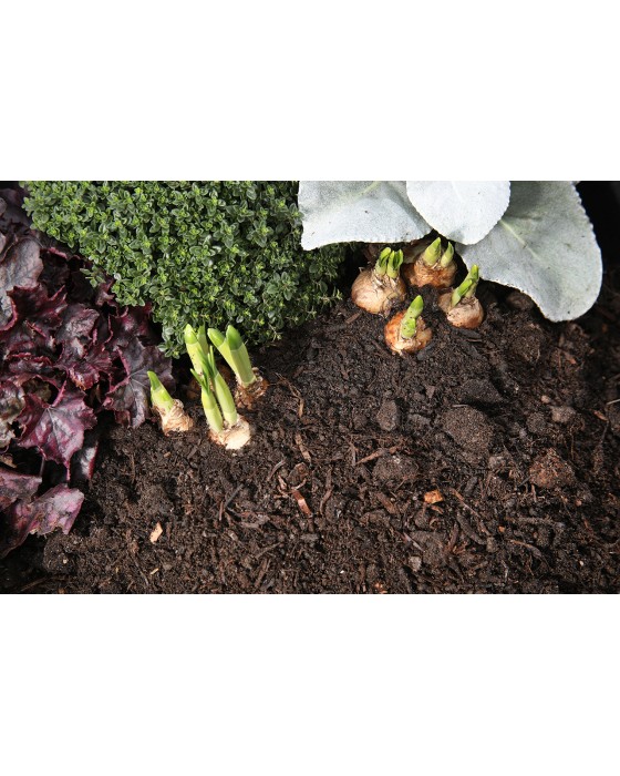 5 Standard Spent Mushroom Compost Bulk Bag Bundle