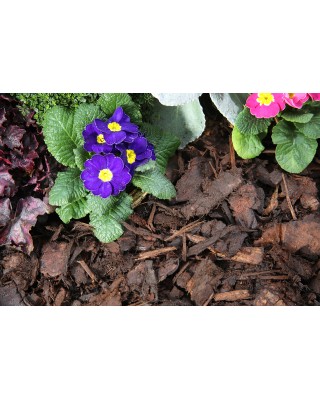  5 Standard Ornamental Bark Mulch Bulk Bag Bundle