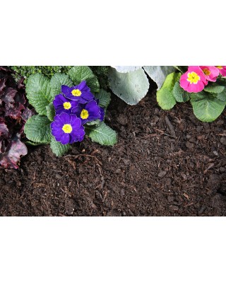 Tree and Shrub Compost Standard