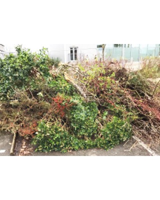 Grab Green Waste Away 