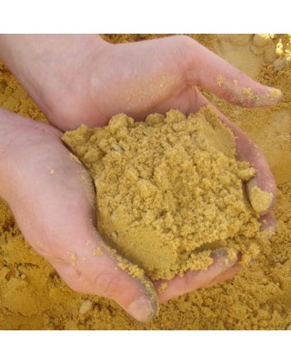 Building Sand Standard