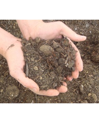  5 Standard Blended Topsoil Bag Bundle